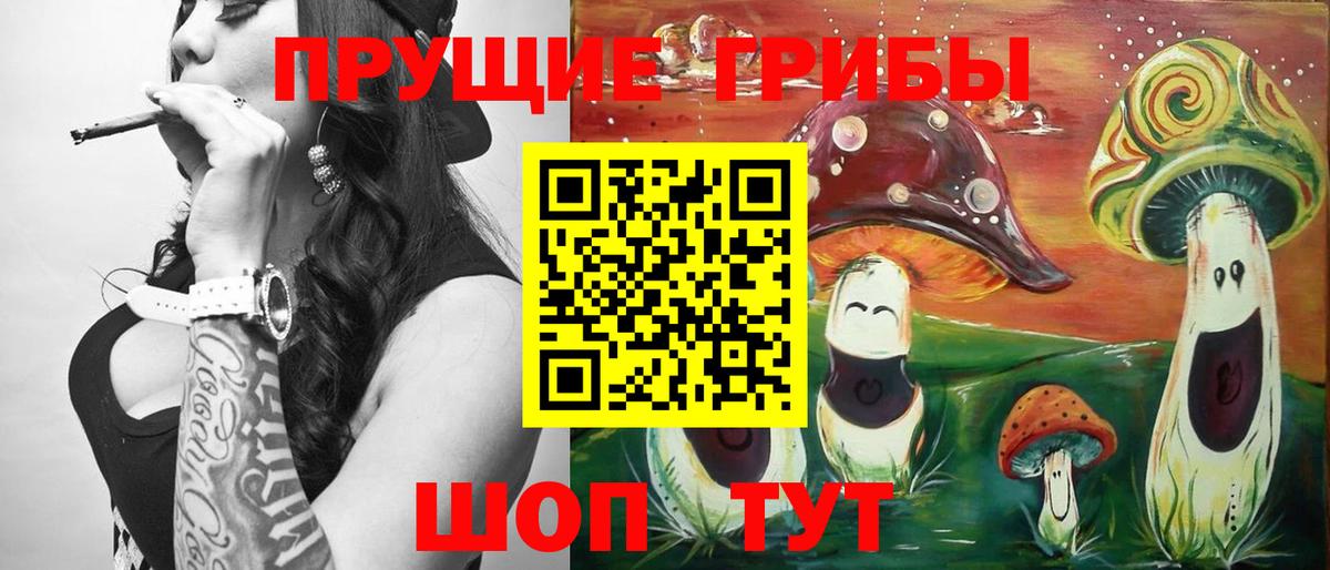 Псилоцибиновые грибы Psilocybe  Галлюциногенные грибы мицелий  Малгобек  Вход с VPN 