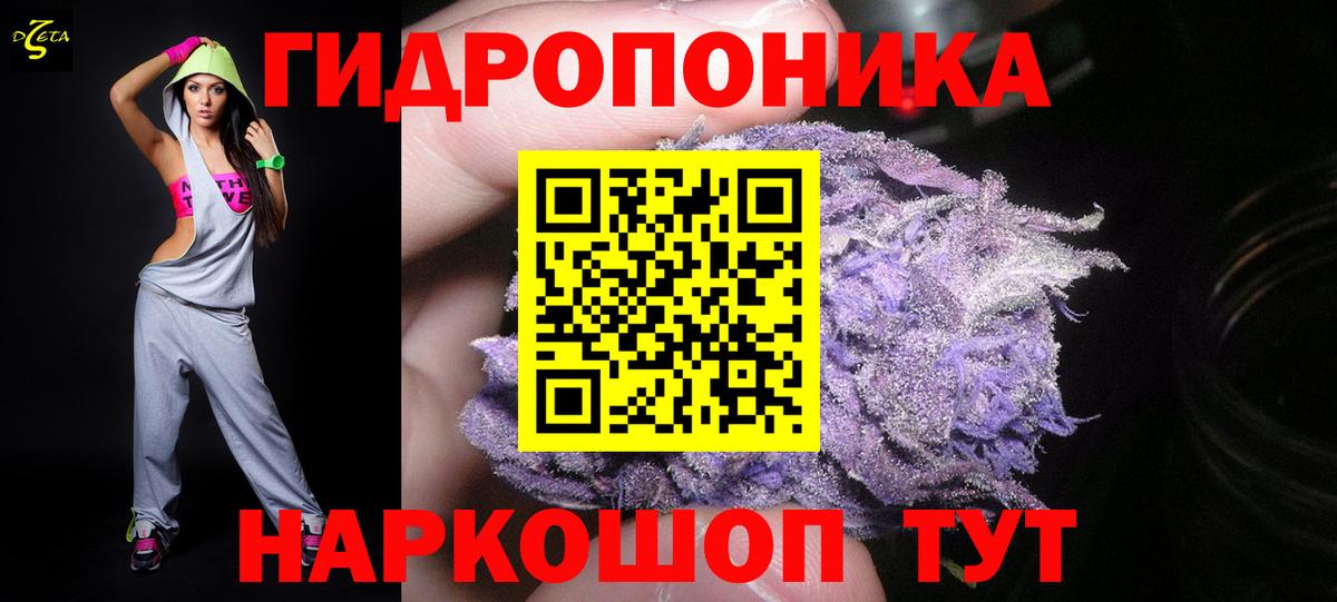 Шишки марихуана марихуана Малгобек